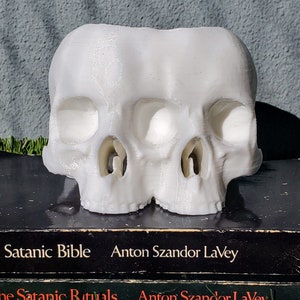 Conjoined Skull Succulent Planter Gothic Home Garden Decor 3D Printed image 3