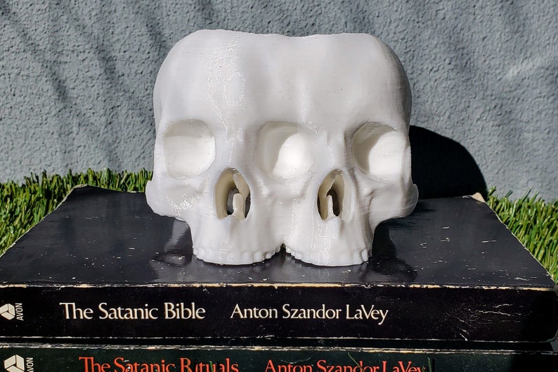 Conjoined Skull Succulent Planter Gothic Home Garden Decor 3D Printed image 3