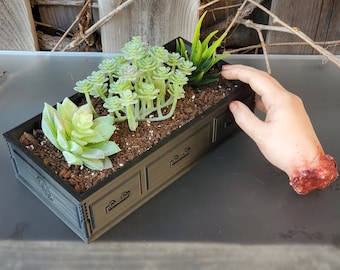 Puede incluir: Una maceta negra con forma de cómoda con tres cajones, llena de suculentas y una planta verde. La maceta está sobre una superficie gris con una mano ensangrentada que se extiende hacia ella.