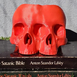 Conjoined Skull Succulent Planter Gothic Home Garden Decor 3D Printed image 5