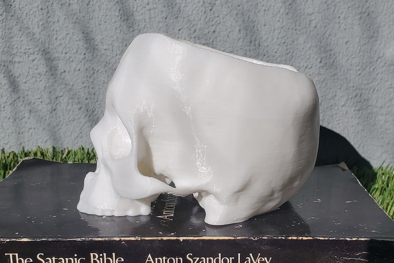 Conjoined Skull Succulent Planter Gothic Home Garden Decor 3D Printed image 6