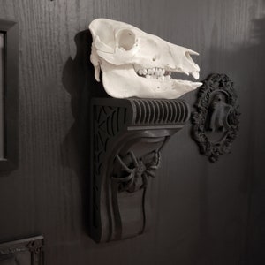 Spider & Web Corbel Shelf - 10 Inches Tall • Gothic Home Decor • 3D Printed