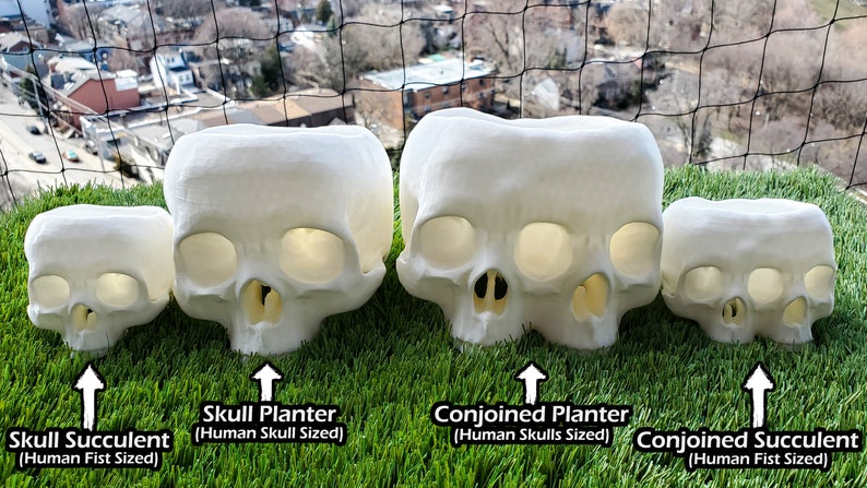 Large Conjoined Skull Planter Gothic Home Garden Decor 3D Printed image 8