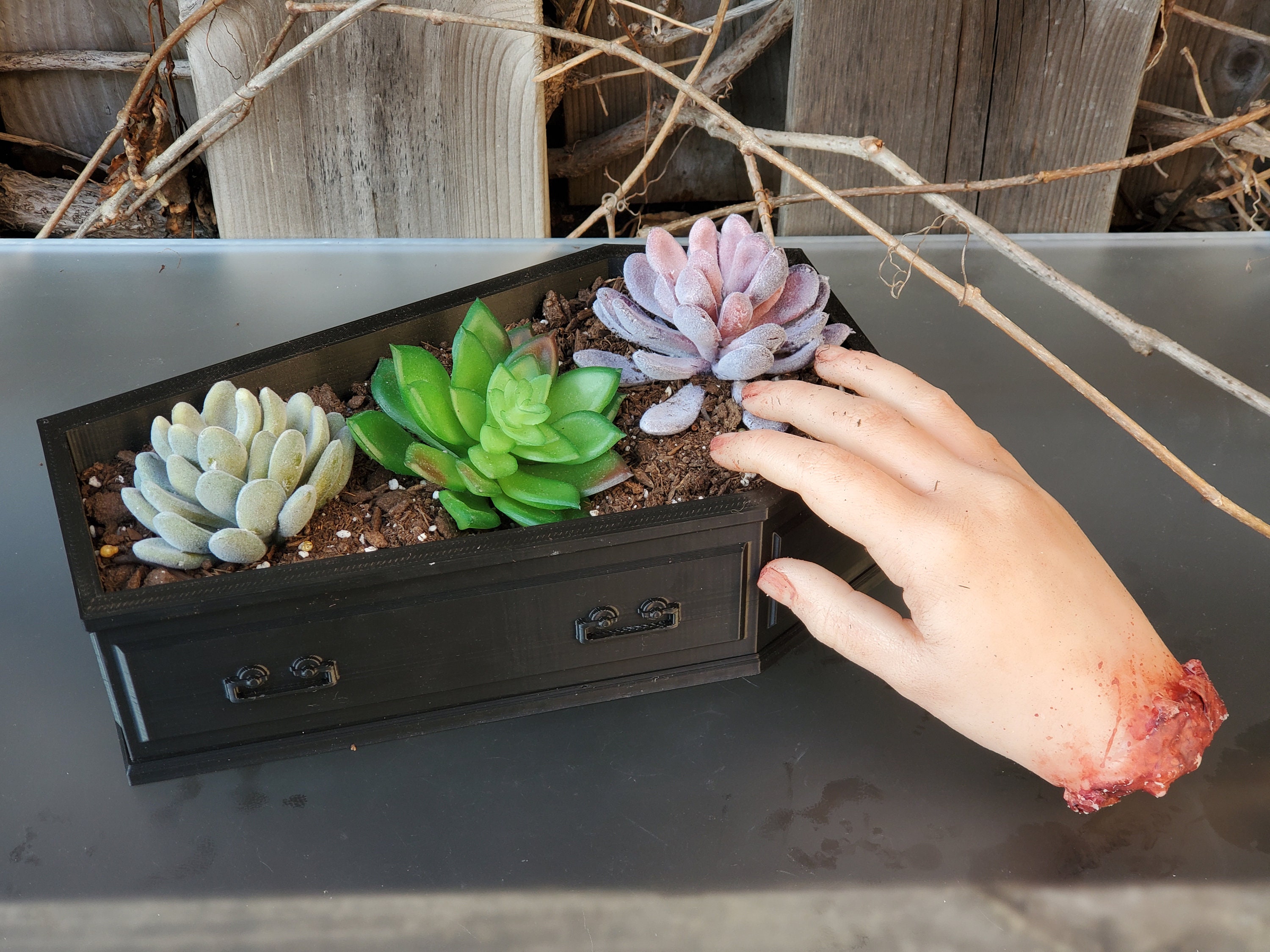 Coffin Plant - Etsy Canada