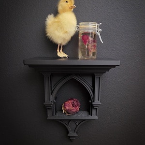 May include: A fluffy yellow duckling stands on a black shelf next to a glass jar containing pink flowers. A dried rose sits in the shelf's arched niche. The shelf is on a dark grey wall.