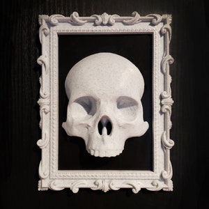 May include: A white plaster skull in a white ornate frame against a black background.