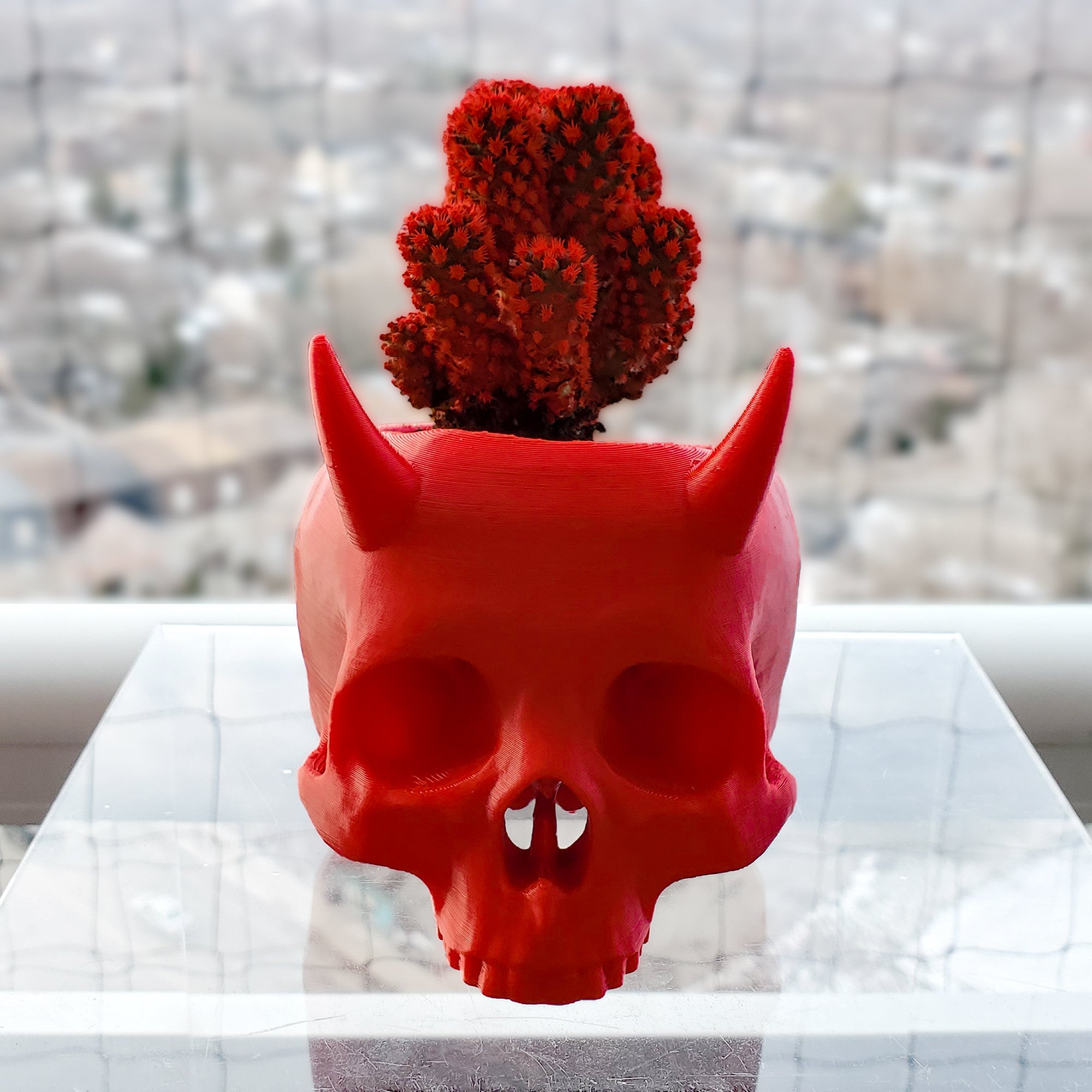 Horned Skull Succulent Planter || Gothic Home Decor Goth Garden Acces…