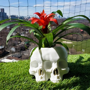 Large Conjoined Skull Planter Gothic Home Garden Decor 3D Printed image 1