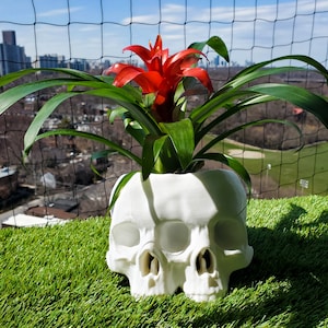 Cursed Plant Pot - Etsy