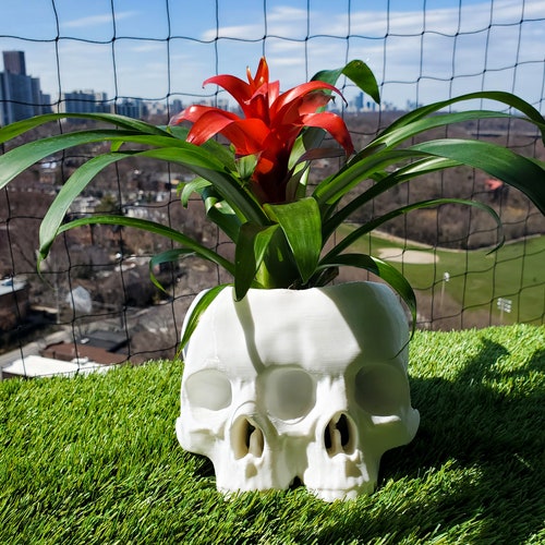 MagiDeal Gothic Human Skull Flower Pot Home Garden Succulent Plant Planter 