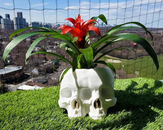 Large Conjoined Skull Planter • Gothic Home Garden Decor • 3D Printed