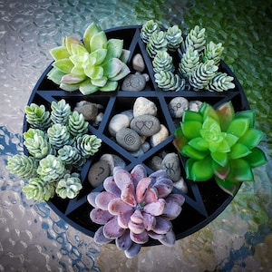 Peut inclure: Un plateau en bois noir en forme de pentagone avec six compartiments, chacun contenant une plante succulente différente. Le plateau est décoré de petites pierres grises et de symboles.