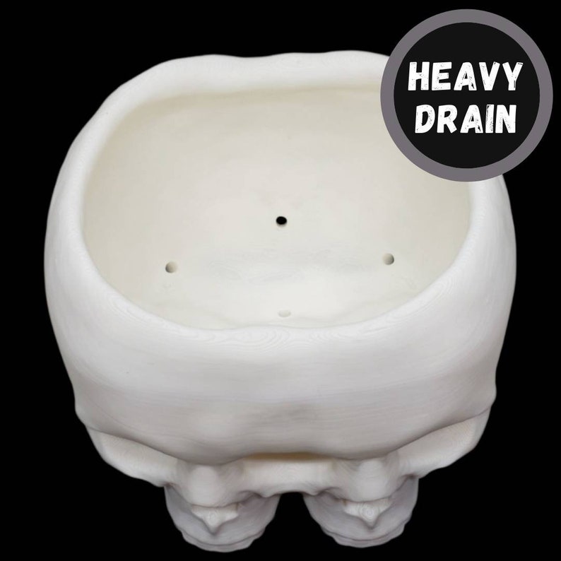 May include: White ceramic skull planter with drainage holes. The planter is shaped like a human skull with a large opening at the top for planting. The text "HEAVY DRAIN" is printed on a gray circle in the upper right corner of the image.