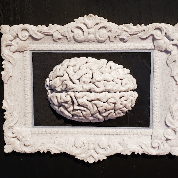 Art mural avec cadre anatomique du cerveau • Décoration d'intérieur gothique • Imprimé en 3D