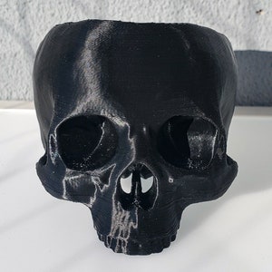 Skull Succulent Planter Gothic Home Garden Decor 3D Printed image 4