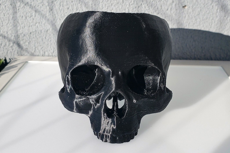 Skull Succulent Planter Gothic Home Garden Decor 3D Printed image 4