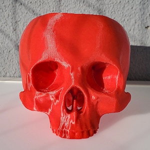Skull Succulent Planter Gothic Home Garden Decor 3D Printed image 5