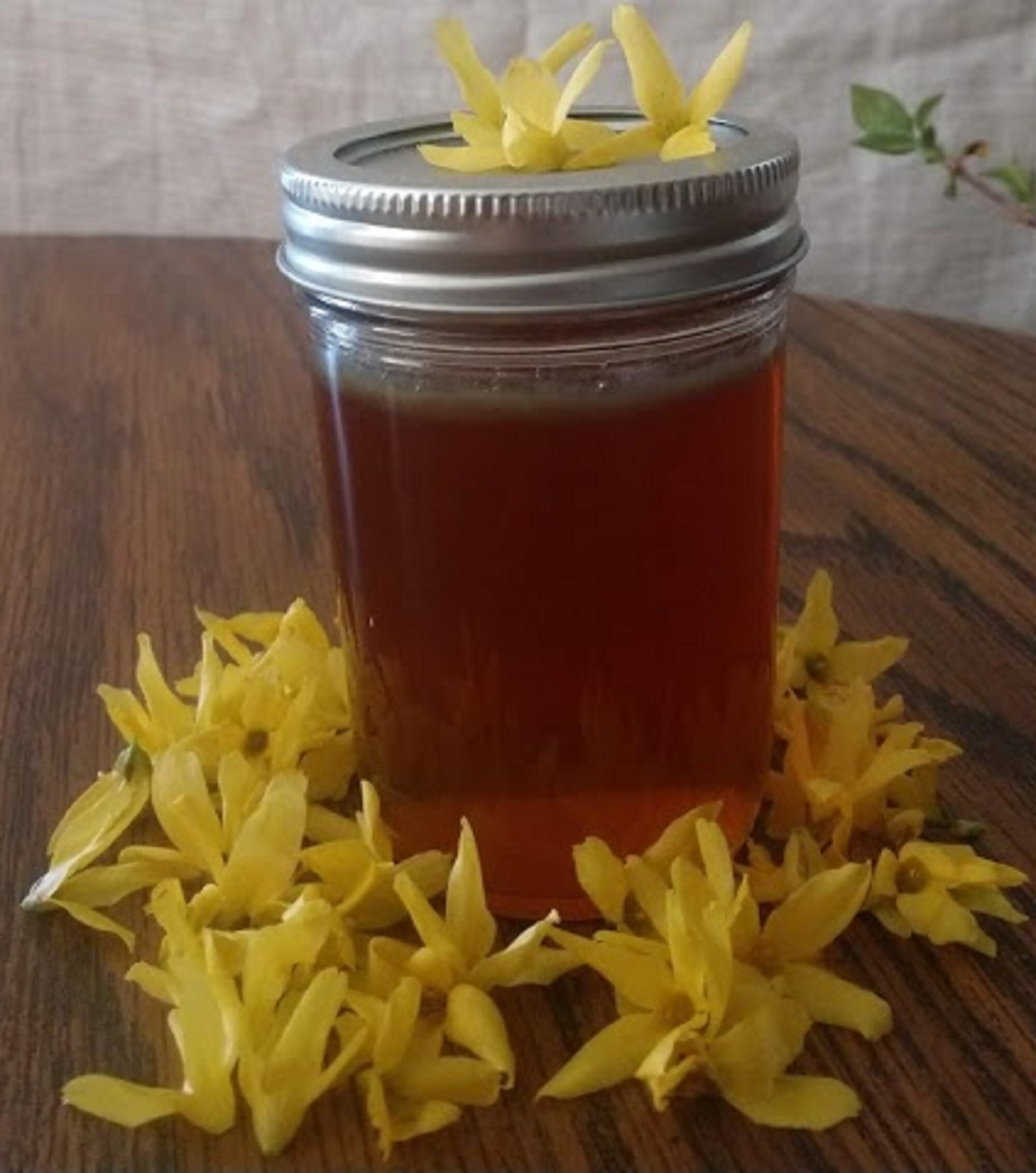 Forsythia Flower Herb Jelly 8 oz. Jar Condiment Arkansas Made Etsy