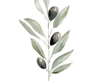 Olive Branch PRINT. Watercolor Botanical Painting, peace plant, succulent, plant lover, green, floral painting, wall decor, bible, olive.