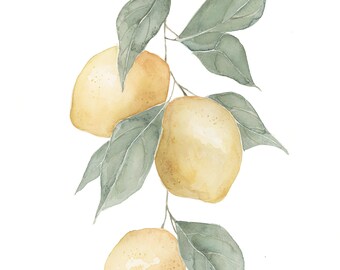 Linen Lemons PRINT. Watercolor Botanical Painting, lemon tree, citrus, plant lover, lemons, painting, wall decor, tree branch, lemon drop.