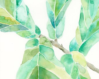 Fiddle Leaf Fig Aqua PRINT. Watercolor Botanical Painting, fiddle plant, succulent, plant lover, green, painting, wall decor, green plant.