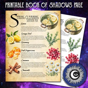 May include: A printable book of shadows page with illustrations of herbs and spices for a spring cleaning simmer pot. The page includes text describing the magical properties of each ingredient, including lemon, orange peel, rosemary, pink peppercorns, cinnamon, and chamomile.
