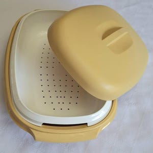 Puede incluir: Un recipiente de plástico para alimentos de color amarillo claro con tapa a juego y un colador interior blanco extraíble. La base de forma ovalada tiene un exterior amarillo sólido, mientras que el componente interior blanco está perforado.