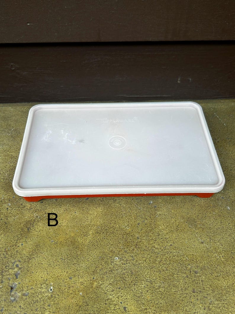 Op de afbeelding: Een rechthoekige Tupperware-opbergbak met een doorschijnend wit deksel en een effen oranje onderkant. Het deksel heeft een centraal cirkelvormig ontwerp en de merknaam Tupperware in reli&euml;f. De letter B is in het zwart afgedrukt.