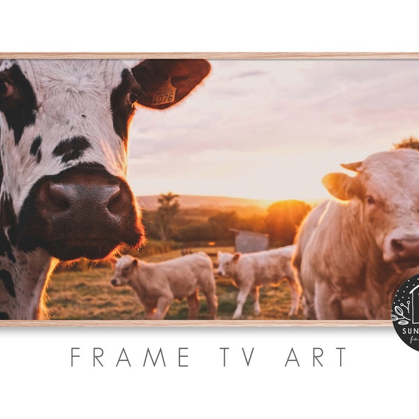 Samsung Frame Tv Art - Cow, Farm, Farmhouse, Cattle, Countryside, Agriculture, Livestock, Ranch, Animal, Photography, Instant Download