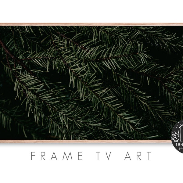 Samsung Frame Tv Art - Pine, Conifer, Tree, Forest, Outdoor, Nature, Seasonal, Greenery, Texture, Photography, Instant Download