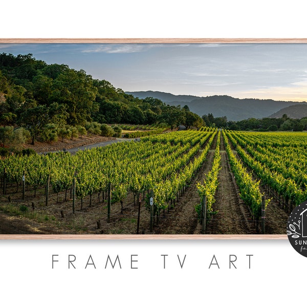 Samsung Frame Tv Art - Vineyard, Farm Field, Ranch, Farm, Farmhouse, Countryside, Agriculture, Photography, Instant Download