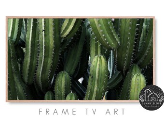 Cactus Frame Tv Art - Botanical Tv Art, Succulent Art Tv, Plant Frame Art Tv, Nature Digital Art, Art for TV, Photography, Digital Download