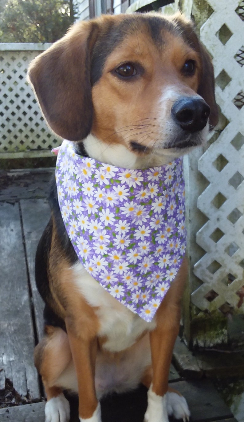 One Half Must Select Two Blue Tie Dye Marine Plumeria Tie Around Pet Bandana