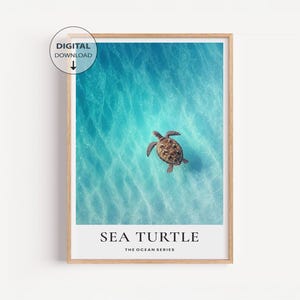 Luft-Schildkröte Ozean Poster - Ruhige Meerestiere Wandkunst, türkisfarbenes Wasser Küsten Dekor, fotorealistische Illustration Schildkröte, Strand Zuhause