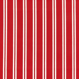 Premier Prints Fabric - Outdoor Fabric - Parker Rojo - 54&quot; wide