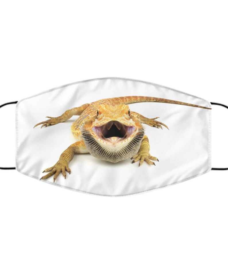 Download Bearded Dragon Print Mask 2 Layer Anti-Microbial Fabric ...