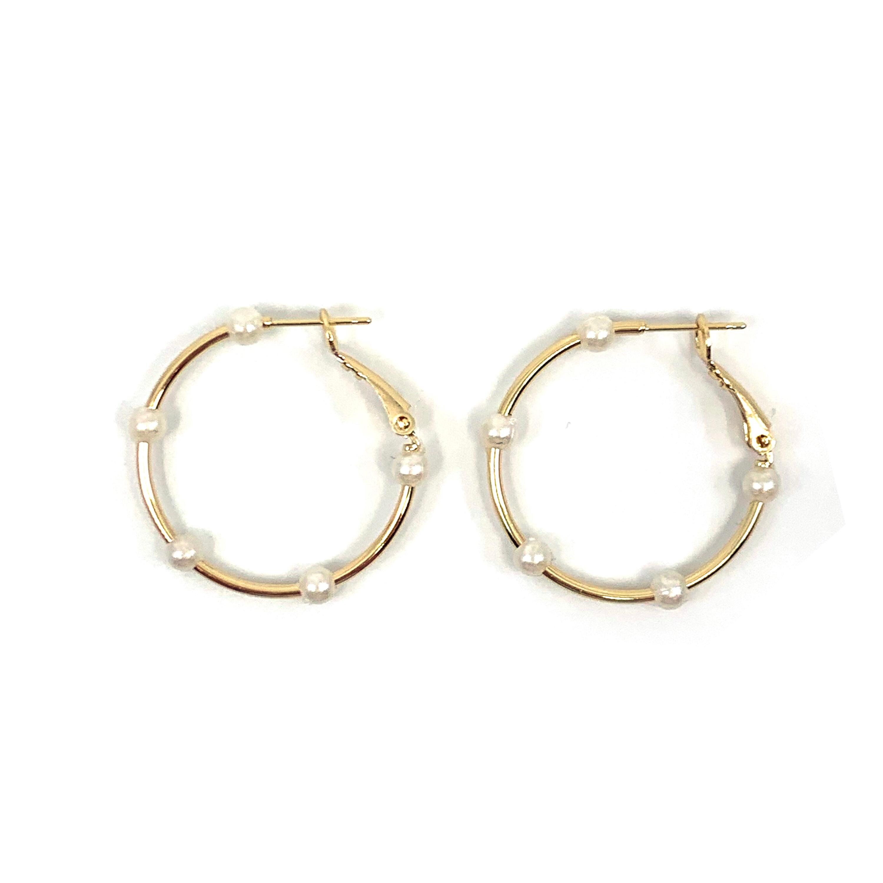 Isola Caelurelle Gold Earrings