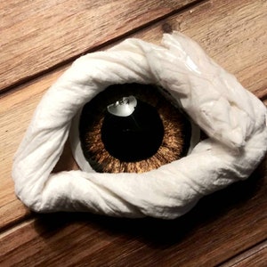 702 Glass Eyes: Brown Eyes, Copper Eyes, 8mm 10mm 14mm 18mm 20mm 25mm 30mm 35mm 40mm 45mm 48mm 50mm Hand Painted Glass Eyes, Custom Eyes