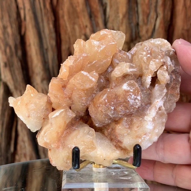 10cm 314g Pink White Aragonite Stone Crystal Cluster Stalactite from Morocco
