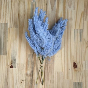 May include: A bunch of light blue dried pampas grass stems tied together with twine. The stems are arranged in a fan shape and are on a light brown wooden surface.