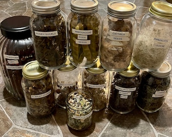 May include: A collection of glass jars filled with various dried plants and seeds, labeled with plant names like "Honey Suckle," "Cattails Seeds," and "Dandelion Seeds." The jars are arranged on a tiled surface.