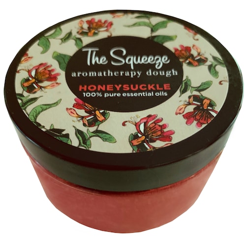 The Squeeze Study Blend Therapy Aromatherapy Dough for Focus Etsy