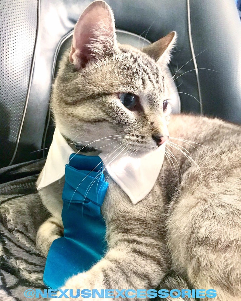Neck Tie Custom Order