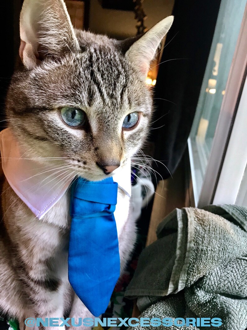Neck Tie Custom Order