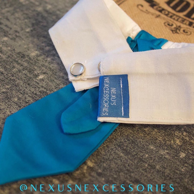 Neck Tie Custom Order