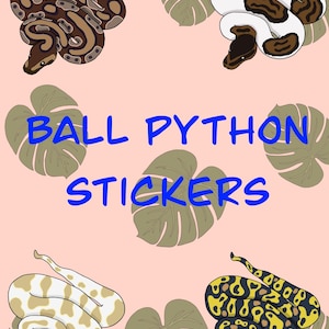 Könnte beinhalten: Eine Sammlung von Ball Python-Aufklebern mit verschiedenen Farbmustern. Die Aufkleber zeigen detaillierte Illustrationen von Schlangen in Braun-, Weiß-, Gelb- und Schwarztönen, vor einem rosa Hintergrund mit grünen Blättern. Der Text "BALL PYTHON STICKERS" ist in Blau dargestellt.