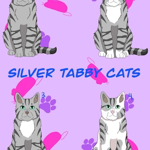 Zilveren tabby kattenvariatiestickers