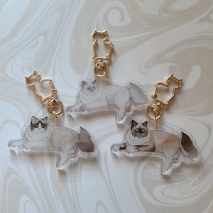 Ragdoll Cat Breed Acrylic Keychains Bi Color, Blue Point, and Seal Point