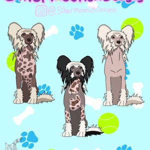 May include: Three cartoon Chinese Crested dogs in different color variations, sitting on a light blue background with paw prints, bones, and tennis balls. The text "Silvermoon24Designs" is at the top of the image.