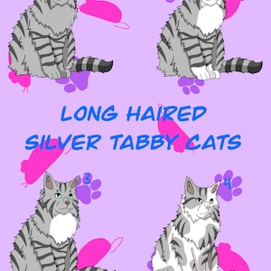 Langharige zilverkleurige tabby kat variatiestickers